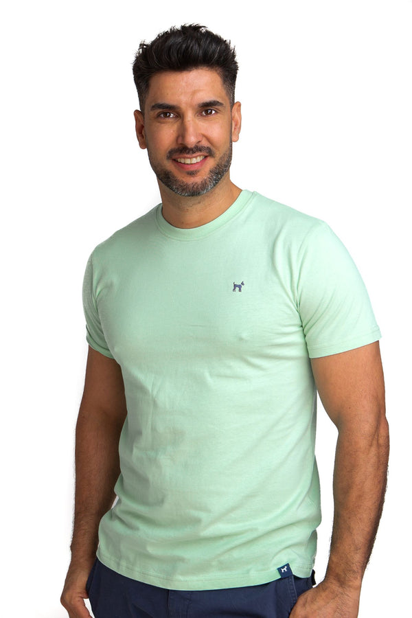 Camiseta Básica Verde Agua
