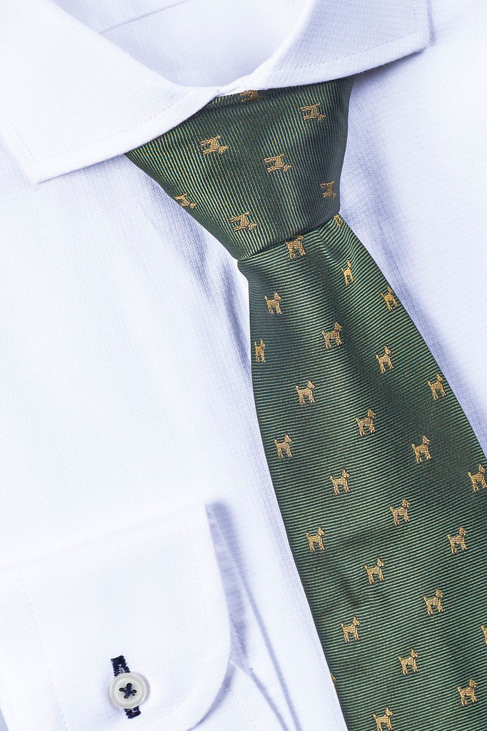 Corbata Verde Estampado Perro